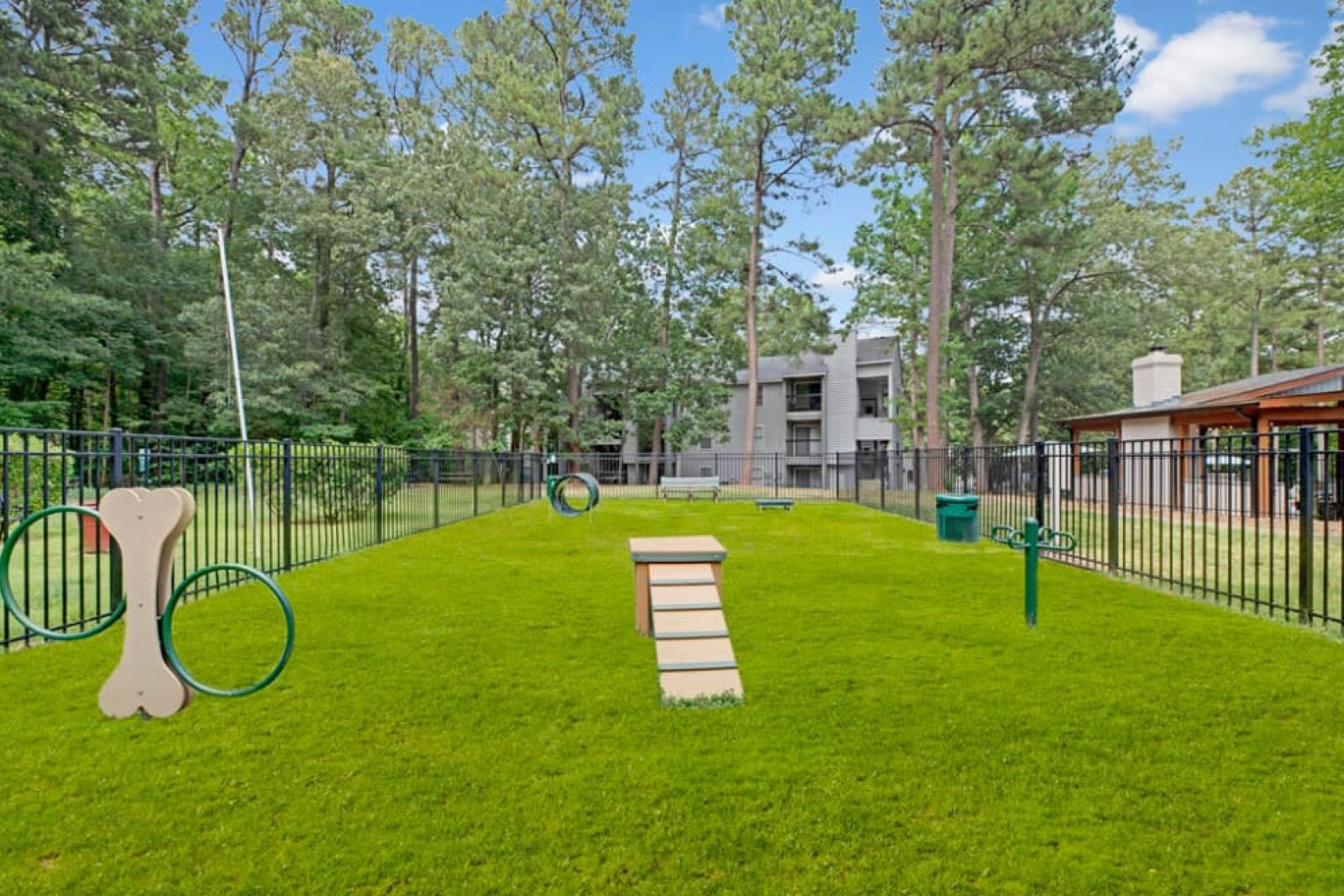 Dog park with agility equipment and open green space, enclosed by fencing.