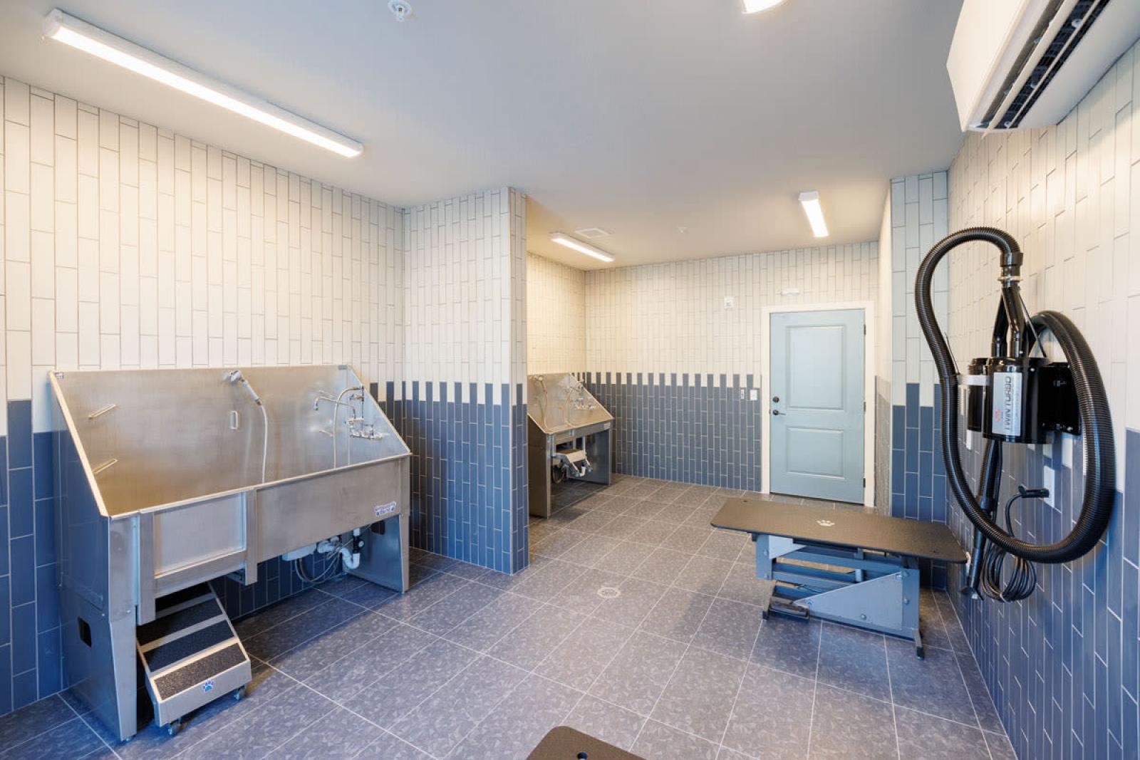 Image 4: Spacious pet grooming station with professional-grade wash basins and dryers, designed for resident convenience at Tropia Wellen Park Apartments.