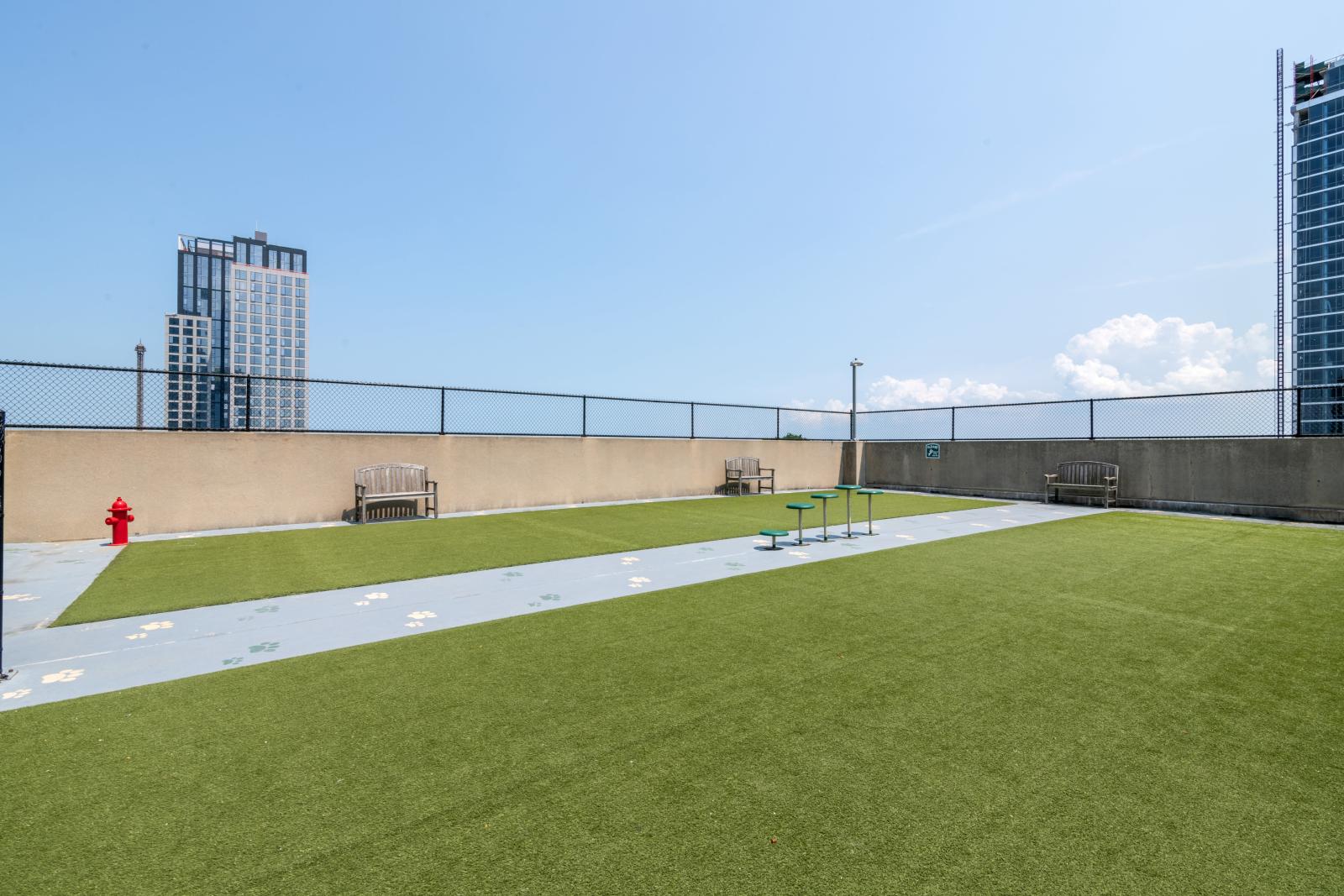 Spacious outdoor dog park with artificial turf, benches, and a skyline view, perfect for pets to enjoy.
