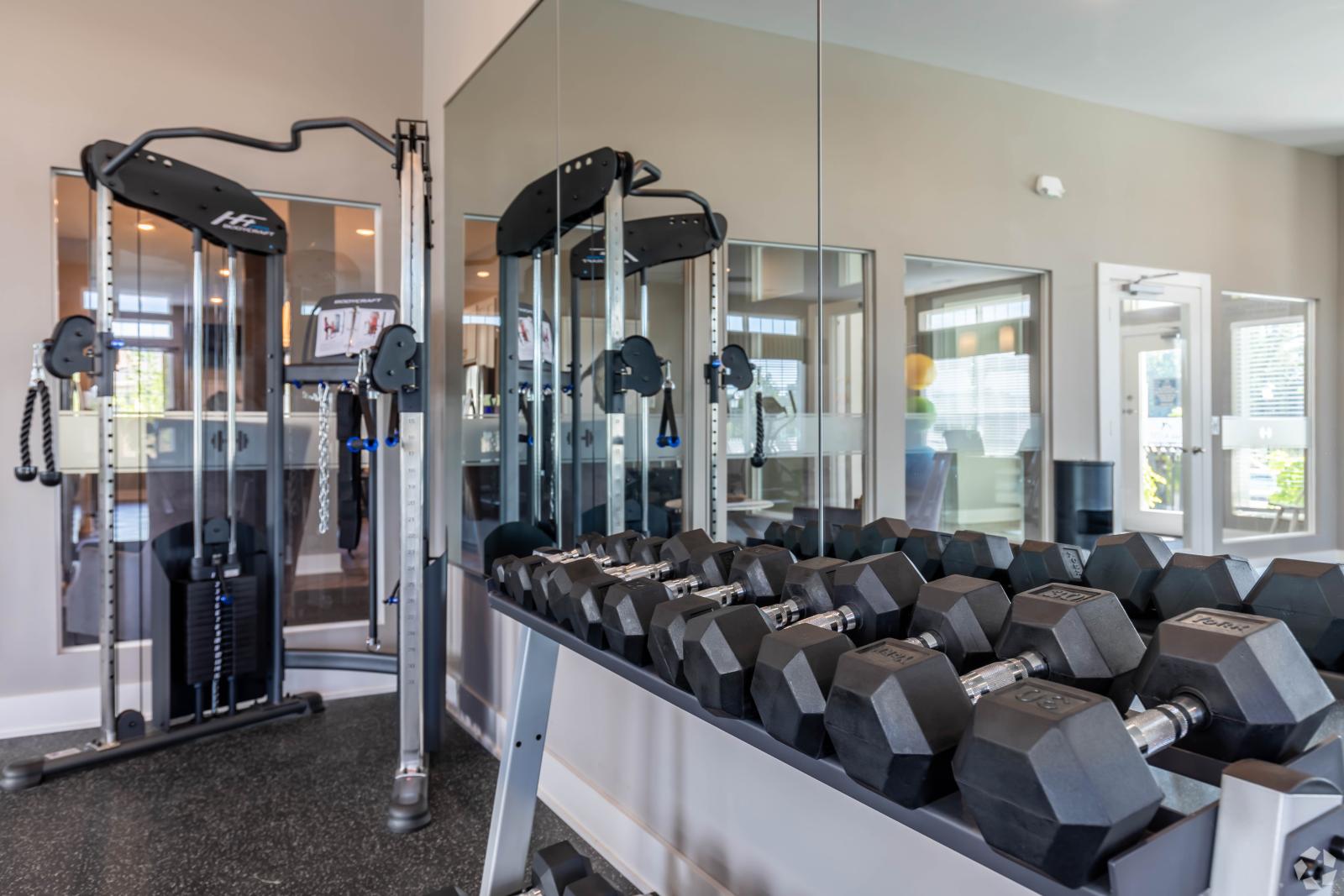 A fully equipped fitness center featuring a dumbbell rack, resistance machines, and mirrored walls.