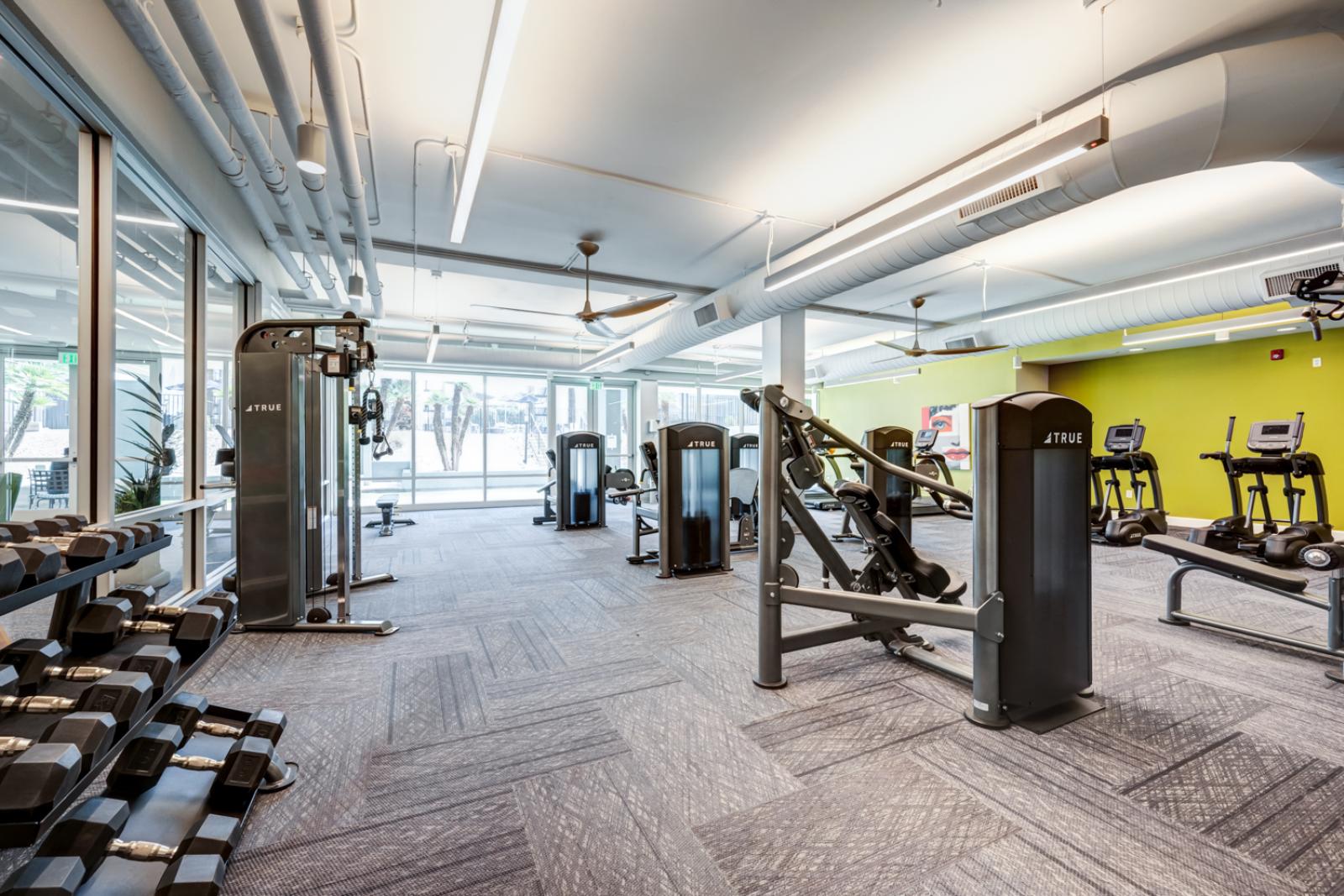Spacious fitness center with modern strength training machines, free weights, cardio equipment, and bright natural light from floor-to-ceiling windows, accented by bold green and yellow walls.