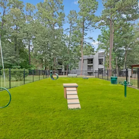 Dog park with agility equipment and open green space, enclosed by fencing.