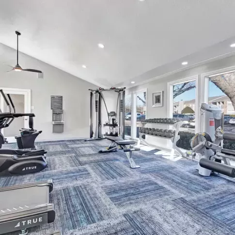 Bright fitness center with various cardio machines and a weightlifting area near large windows.