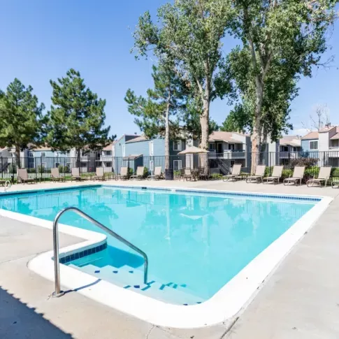 A sparkling outdoor swimming pool surrounded by lounge chairs and trees.