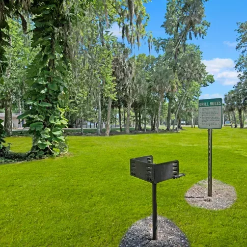 A barbecue grill in a park-like setting surrounded by tall trees and open green spaces.