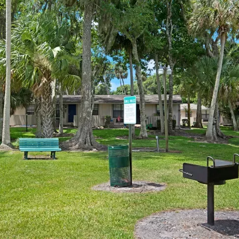 A park-like setting with a bench, a barbecue grill, and lush greenery under tall trees.