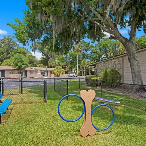 A fenced pet park with a bench and play equipment, surrounded by greenery.