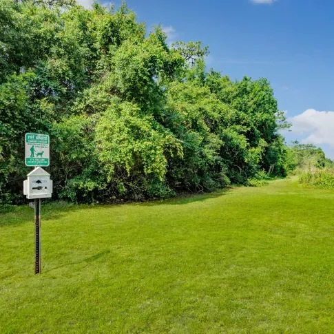 A grassy area with a pet waste station and a backdrop of dense trees.