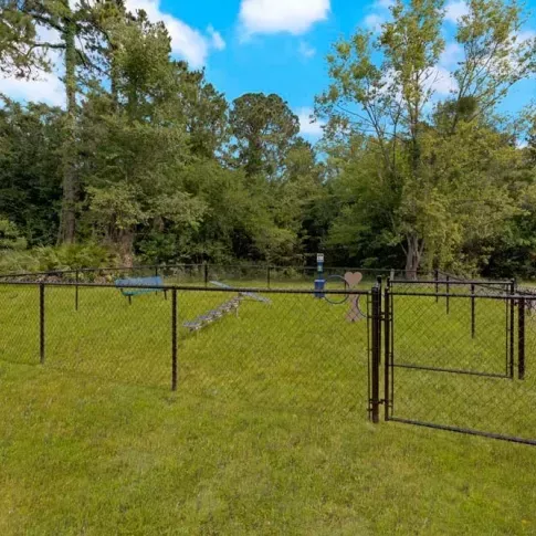 A fenced dog park with grassy areas and trees, designed for pet exercise and play.