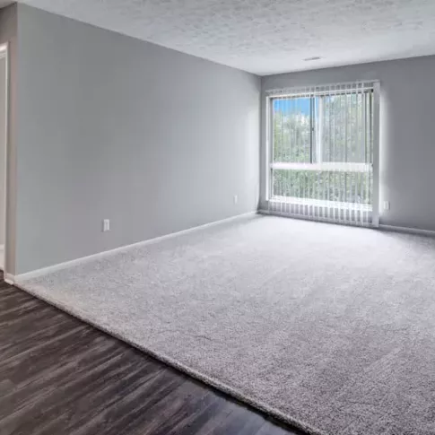 Spacious living room with carpet flooring, a large window, and neutral walls.