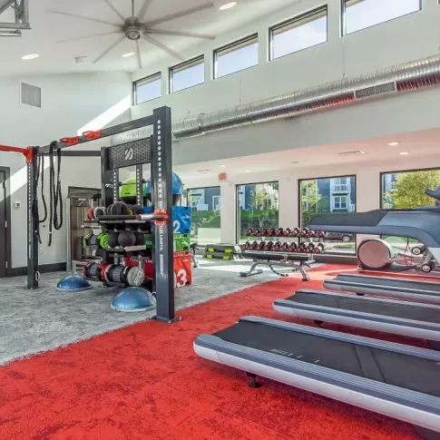 A modern and well-equipped apartment gym featuring treadmills, weights, and exercise equipment, with large windows providing natural light and a spacious, energetic atmosphere.