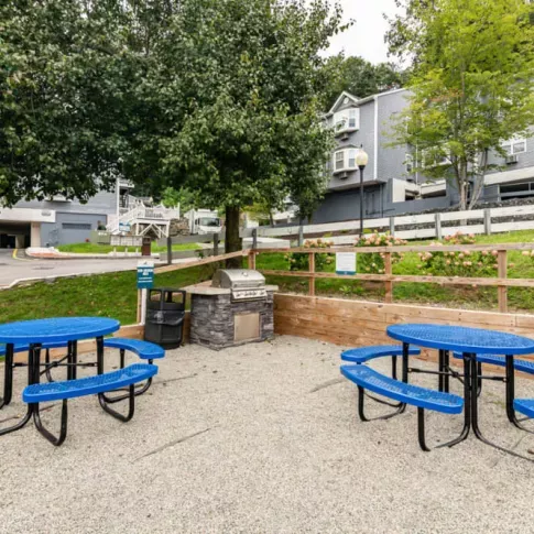 A small outdoor picnic area with blue tables and a barbecue grill surrounded by greenery.