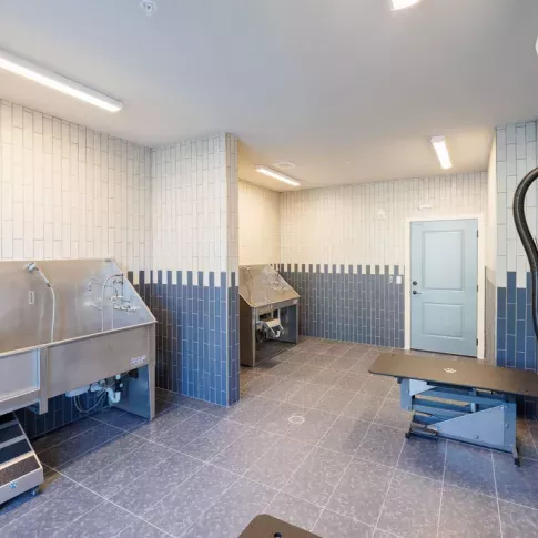Image 4: Spacious pet grooming station with professional-grade wash basins and dryers, designed for resident convenience at Tropia Wellen Park Apartments.