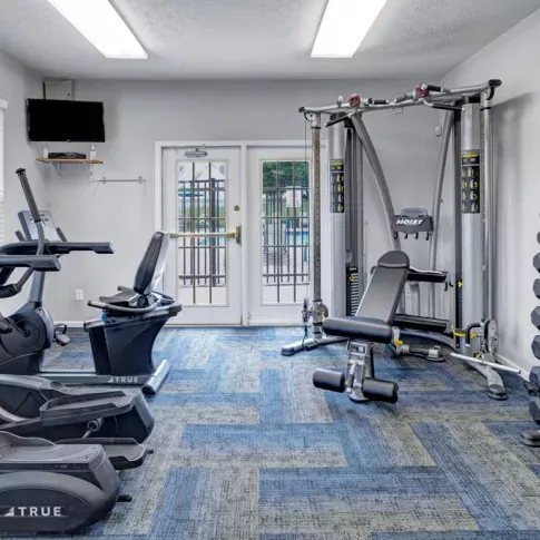 A fully equipped fitness center with modern cardio machines, weight training equipment, and ample natural light.