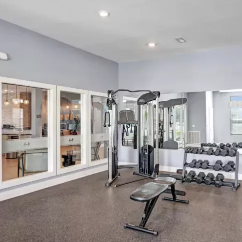 Fully equipped gym with weight machines, free weights, and other strength training equipment.