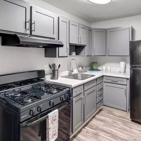 Open kitchen design with gray cabinetry, black appliances, and hardwood-style flooring.