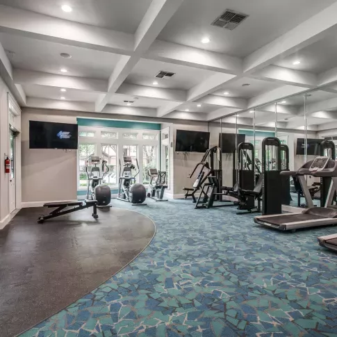 A spacious fitness center featuring treadmills, weight machines, and free weights with a modern blue and gray design.