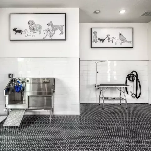 A close-up of the pet grooming area, showcasing a bathing station, hose attachments, and a professional grooming table.