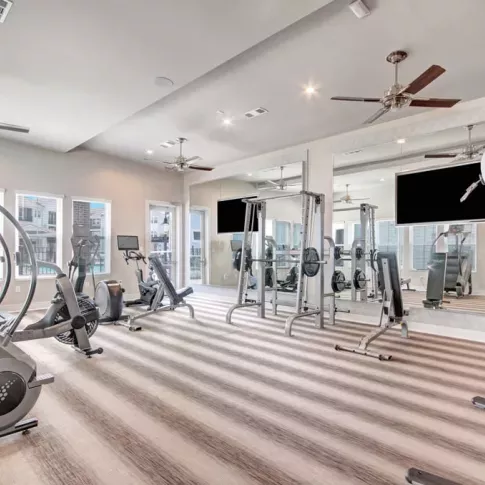 Premium gym with top-tier fitness machines, sleek modern design, and a motivating atmosphere.