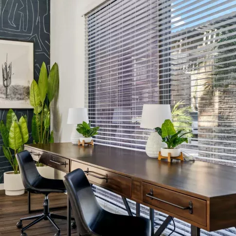 Modern workspace with a long wooden desk, black chairs, leafy plants, and large windows with natural light.