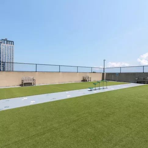 Spacious outdoor dog park with artificial turf, benches, and a skyline view, perfect for pets to enjoy.