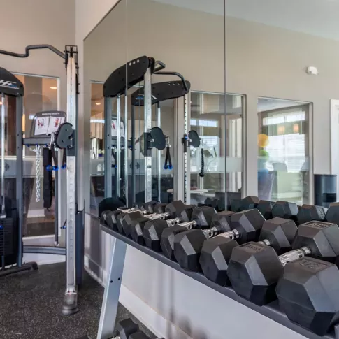 A fully equipped fitness center featuring a dumbbell rack, resistance machines, and mirrored walls.