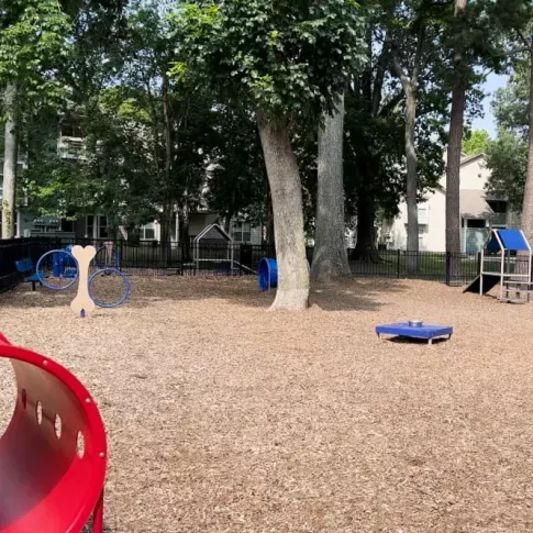 A fenced dog park with agility equipment, trees for shade, and woodchip ground cover, surrounded by apartment buildings.