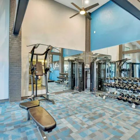 Contemporary fitness center with mirrored walls, free weights, cable machines, and a multi-functional workout bench.
