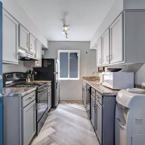 Bright kitchen with gray cabinets, black appliances, and herringbone-pattern flooring in a modern apartment.