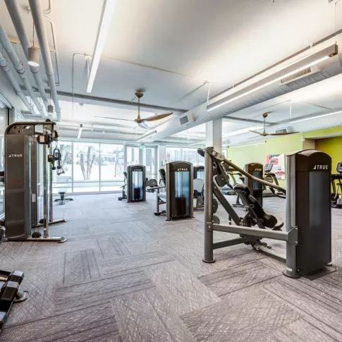 Spacious fitness center with modern strength training machines, free weights, cardio equipment, and bright natural light from floor-to-ceiling windows, accented by bold green and yellow walls.