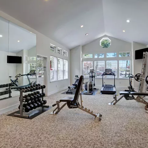 Bright, well-equipped fitness center featuring cardio machines, free weights, strength training equipment, and large windows that fill the space with natural light.