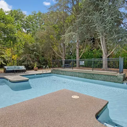 Peaceful outdoor pool surrounded by mature trees and lush greenery, featuring a textured deck area, built-in lounge seating, and raised stone wall for added privacy and charm.