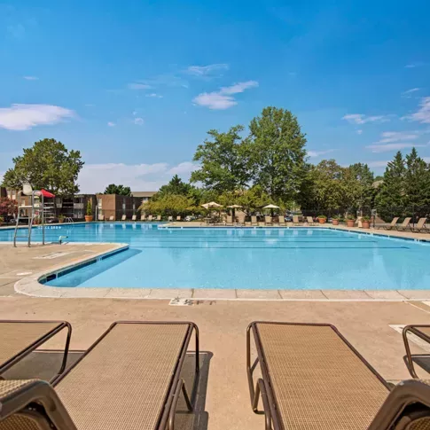 Cinnamon Run Peppertree Farm