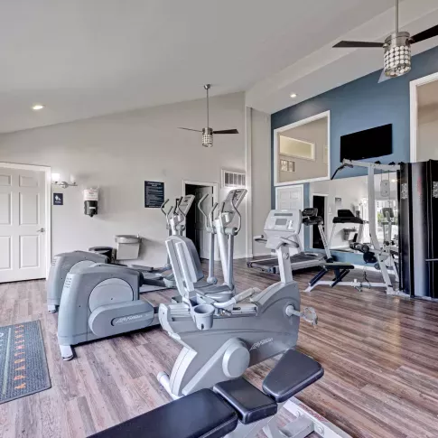 Modern fitness center with cardio and strength training equipment, large mirrors, wood-style flooring, and natural light from floor-to-ceiling windows.