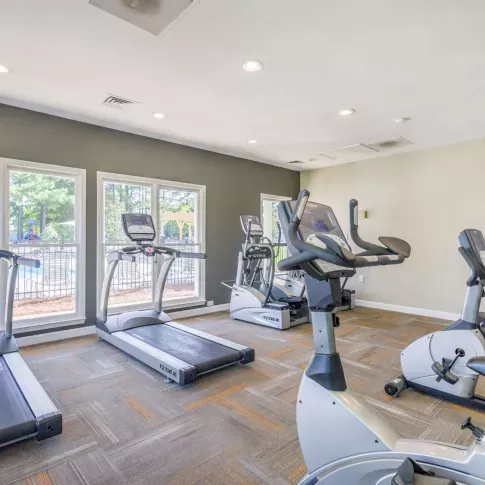 Bright fitness center with large windows, treadmills, ellipticals, stationary bikes, and strength training equipment on a patterned carpeted floor.