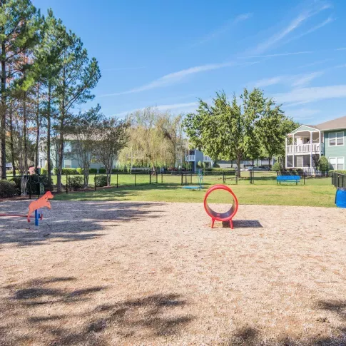 Fenced dog park with agility equipment including a red tunnel and spring-mounted dinosaur shapes, surrounded by trees, benches, and nearby apartment buildings.