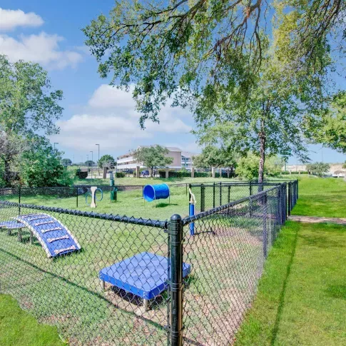 Fenced dog park with agility equipment including ramps and tunnels, surrounded by green grass, mature trees, and a bright blue bench outside the enclosure.