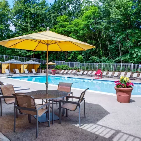 Resort-style pool area with bright yellow umbrellas, round patio tables, and rows of lounge chairs lined against lush greenery.