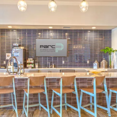 Parc At Wesley Chapel