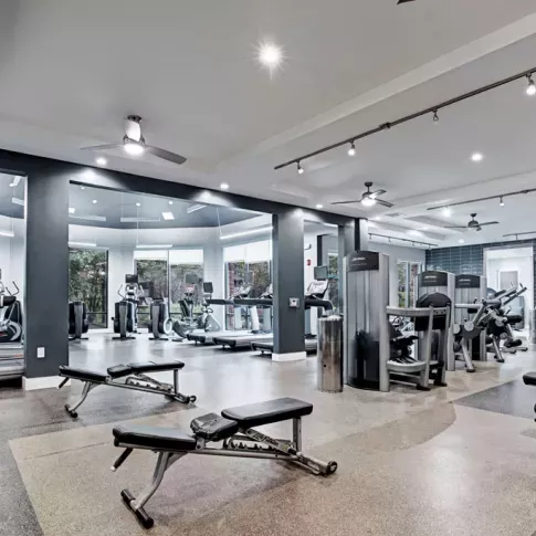 Bright, open gym with state-of-the-art machines and equipment.