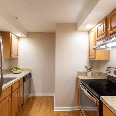 Modern galley-style kitchen with stainless steel appliances, light wood cabinets, granite countertops, and recessed lighting, featuring a bowl of green apples and a small plant as accents.