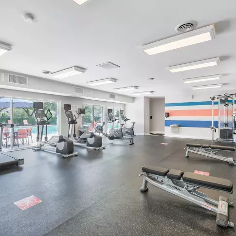  Maple Bay Apartments community featuring a sparkling outdoor pool, modern fitness center, lush green spaces, and a resident walking their dog — showcasing a pet-friendly, active, and welcoming environment.