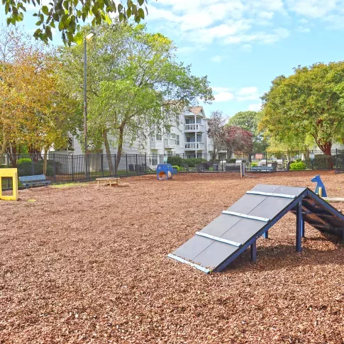 Reflections Virginia Beach
