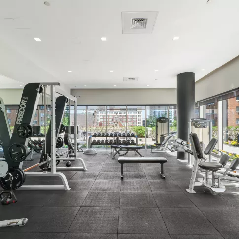 Modern fitness center with floor-to-ceiling windows, weight machines, free weights, and recessed lighting.