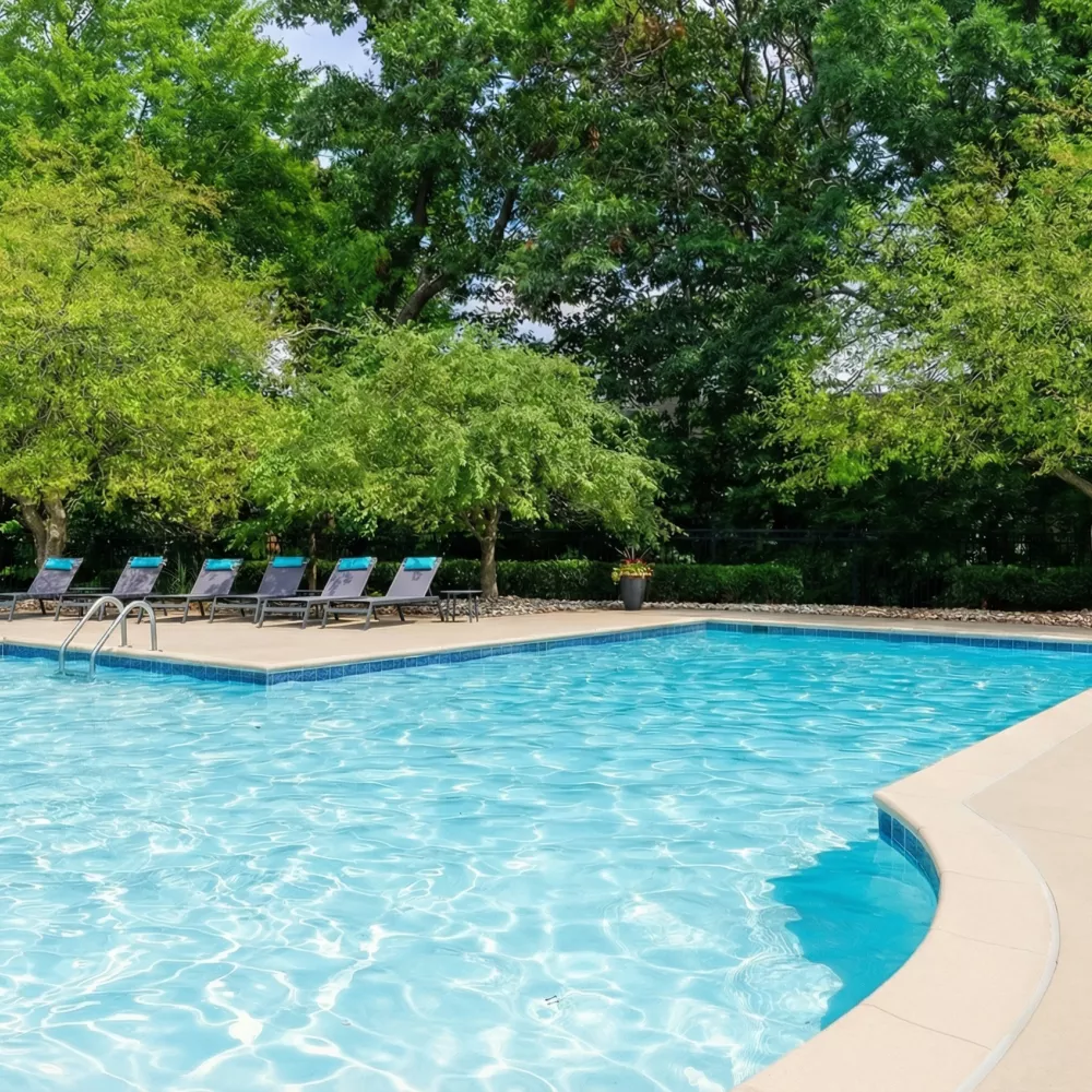 Outdoor swimming pool with blue water, lined with lounge chairs and surrounded by lush green trees.