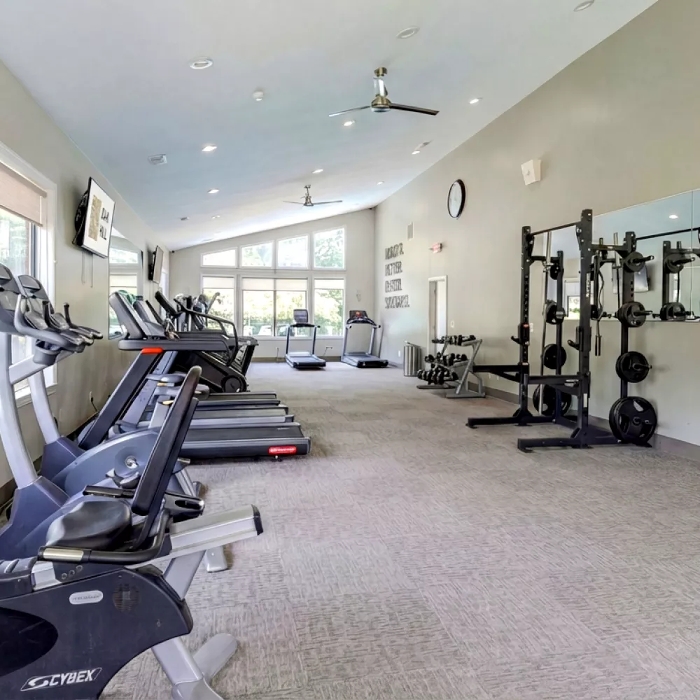 Well-lit gym with cardio machines, weight rack, a water fountain, and large windows providing a view of trees.