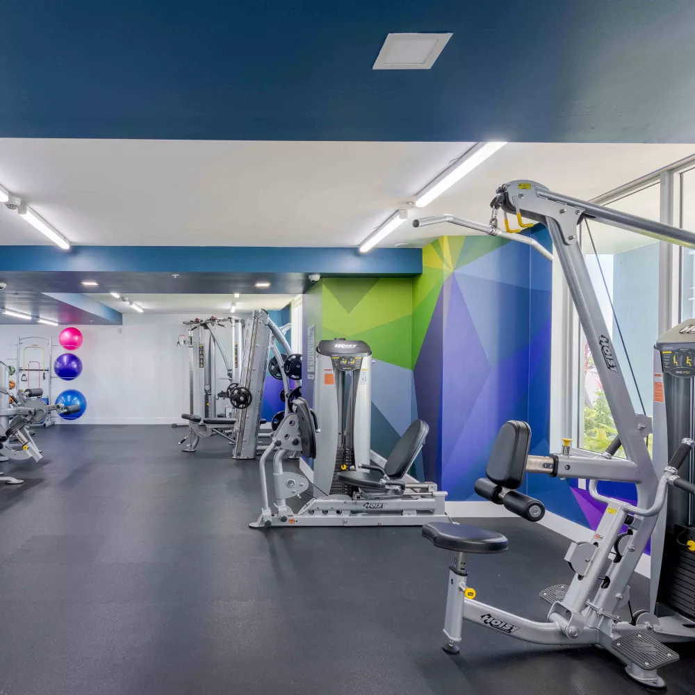 Photograph: Bright, empty gym with various strength machines, dark floor, and colorful geometric wall patterns.