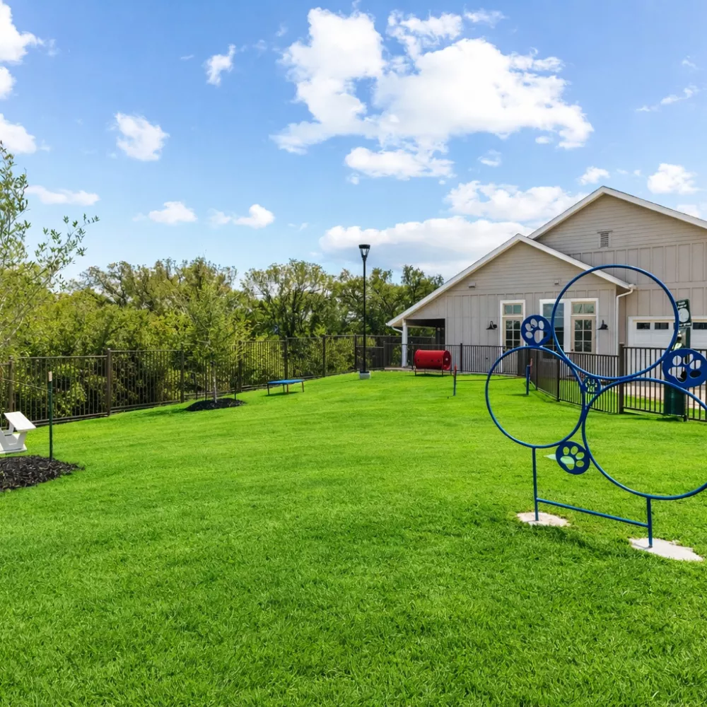 Green grassy dog park area with blue agility hoops, a white picnic table, and a tan building under a blue sky.