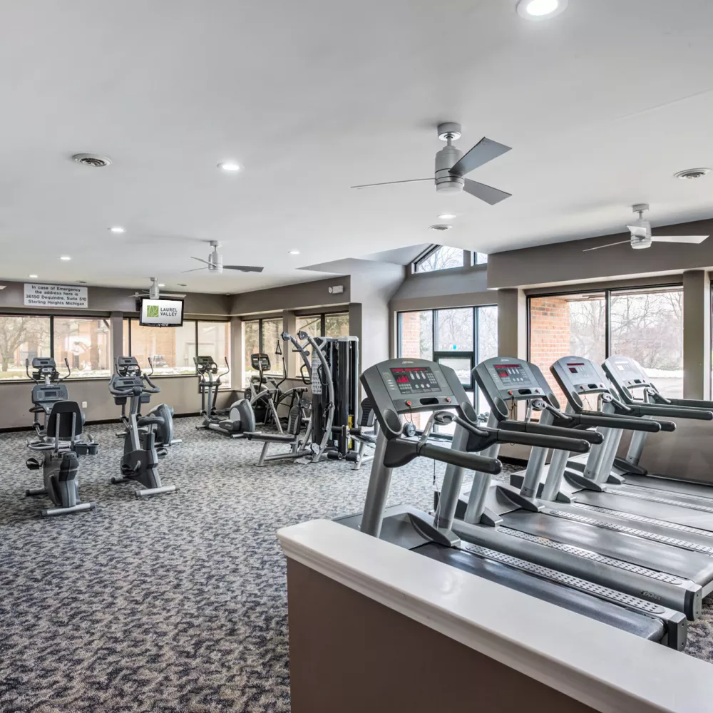 Bright fitness center with a row of treadmills, various exercise machines, and large windows.