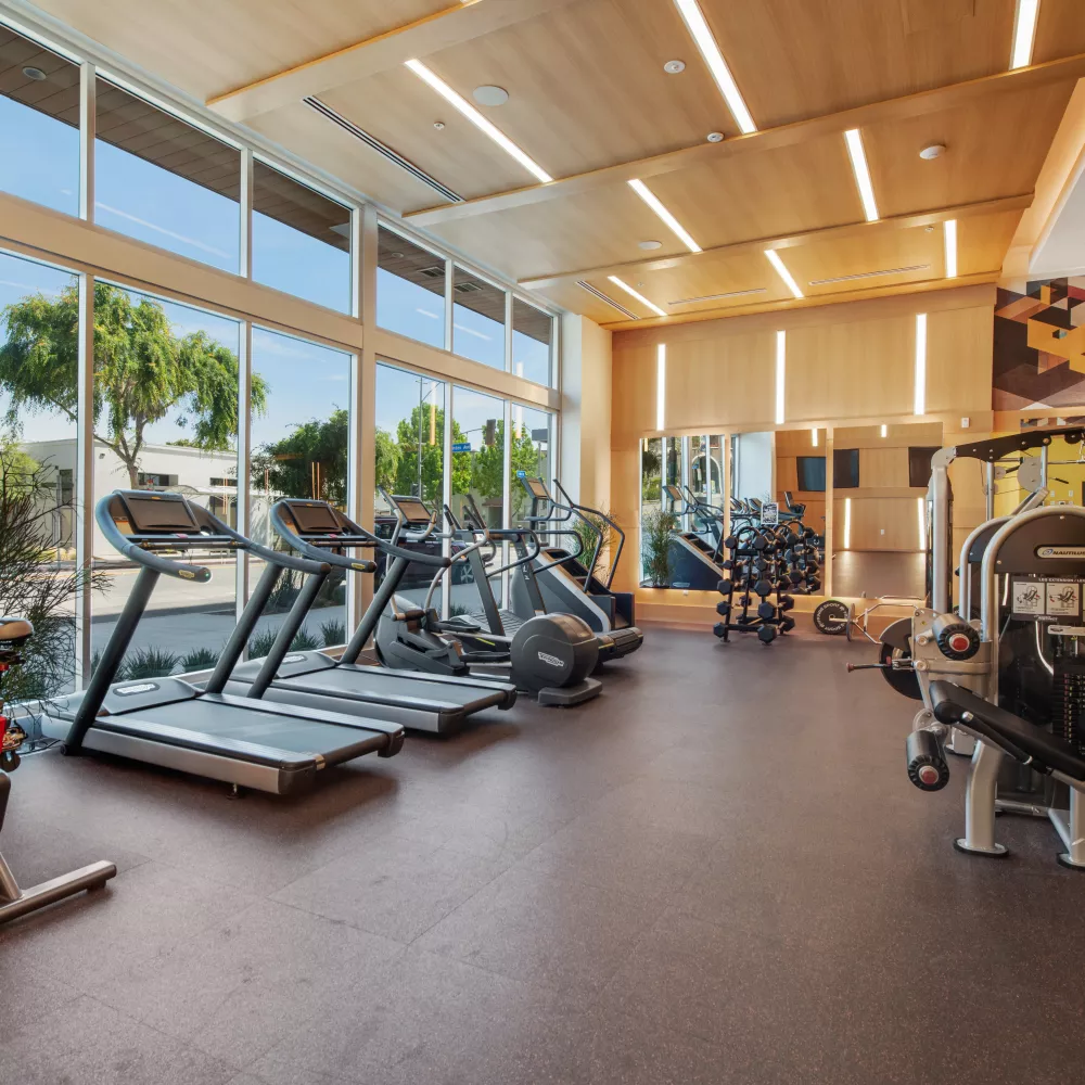 Modern gym with treadmills, exercise bikes, and weight machines. Large windows offer a view of trees and blue sky.